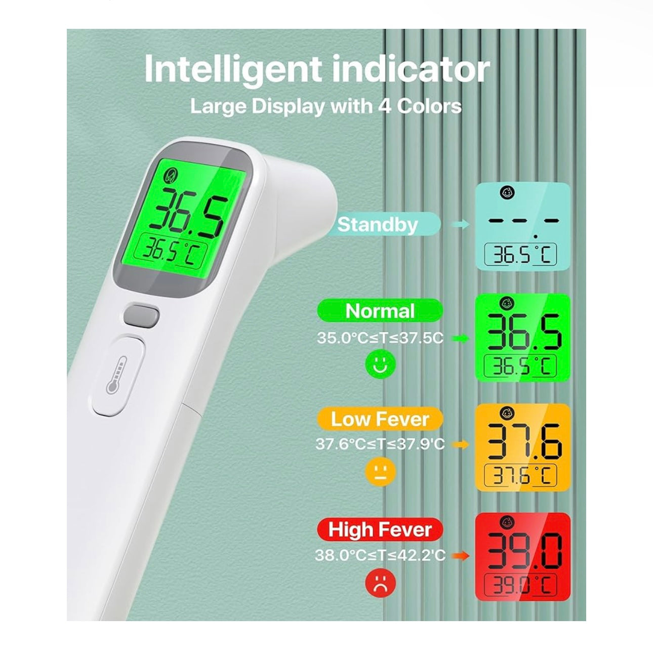 Forehead and Ear Thermometer