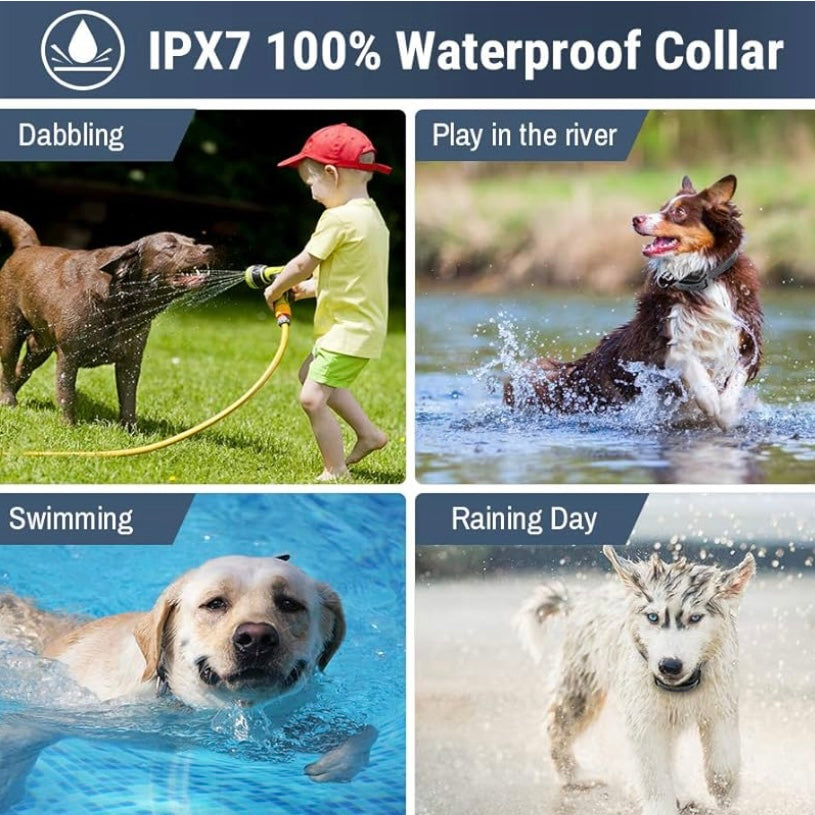 Petrainer Dog Shock Collar