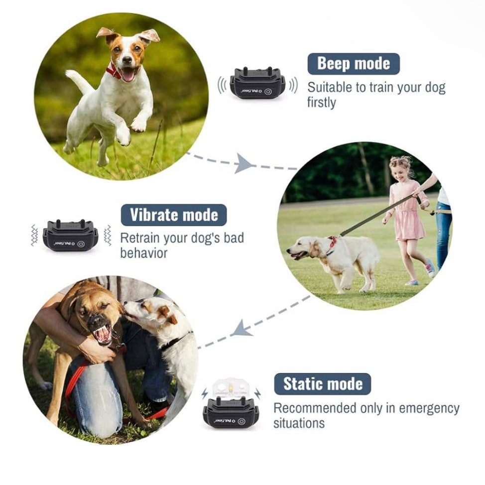 Petrainer Dog Shock Collar